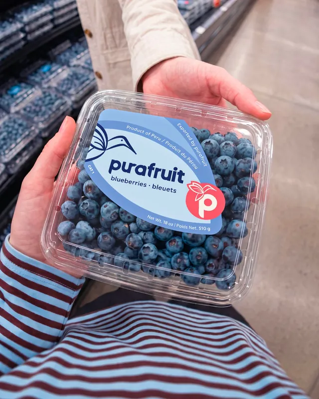 Purafruit — packaging de arándanos