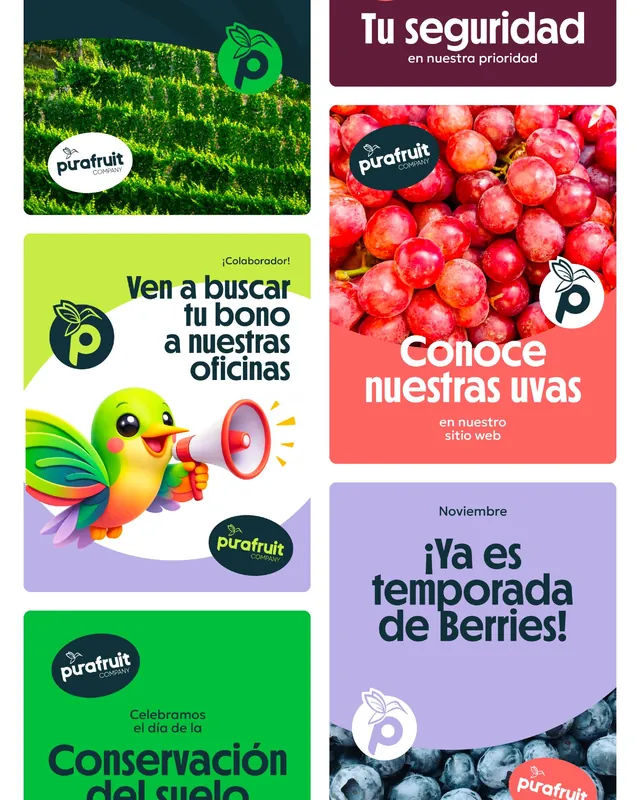 Purafruit — piezas para redes sociales